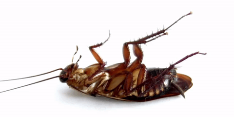 a880aa1e7152fcb9d93ac5272cac8a85