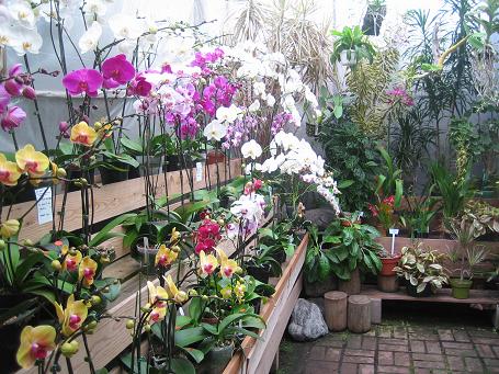 aalacienega_nursery-014