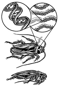 jaronlanier-archivalcockroach