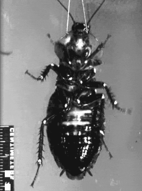 tumblr_mded5jW9Ab1qg39ewo1_500