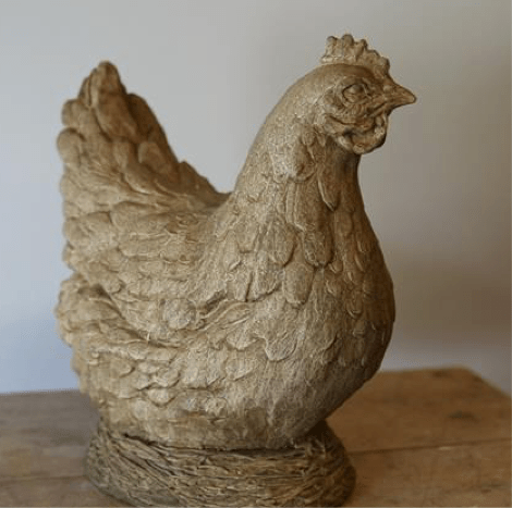 cropped pet hen Bernice