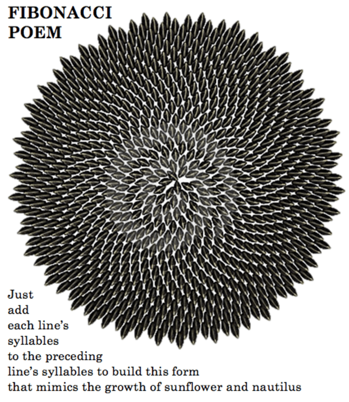 fibonacci poem tw