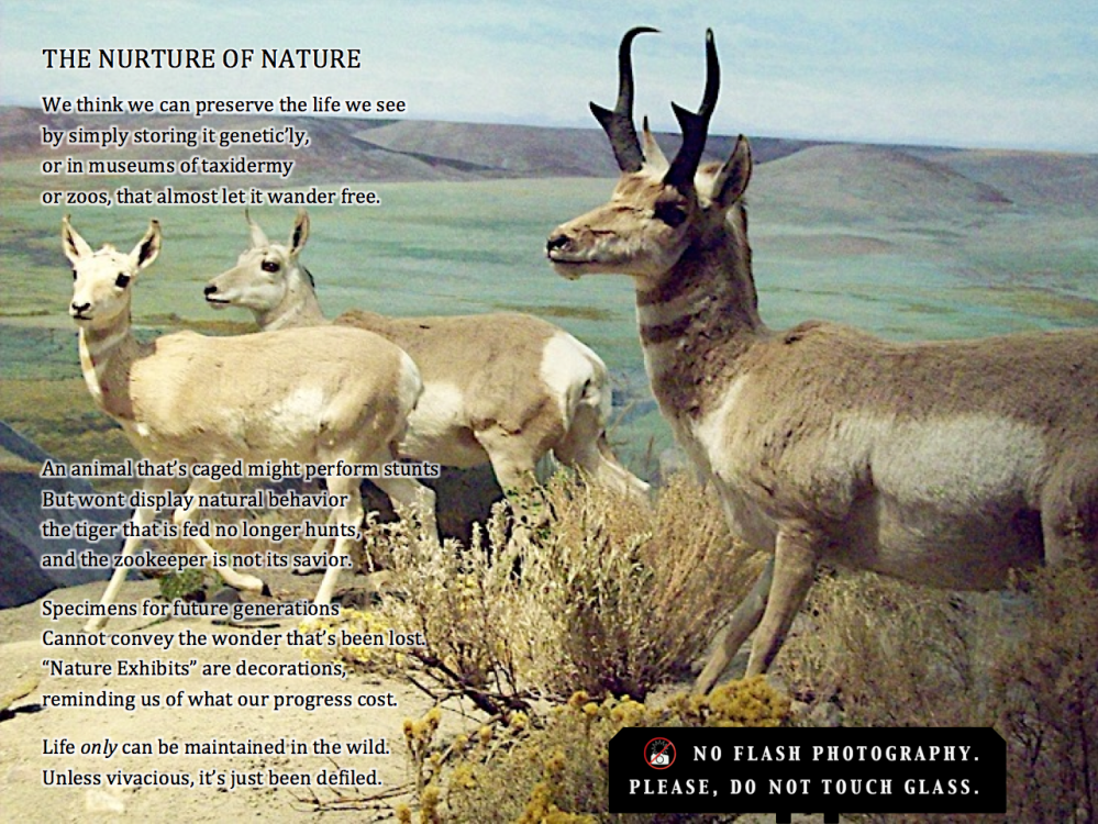 Nurture od Nature.png