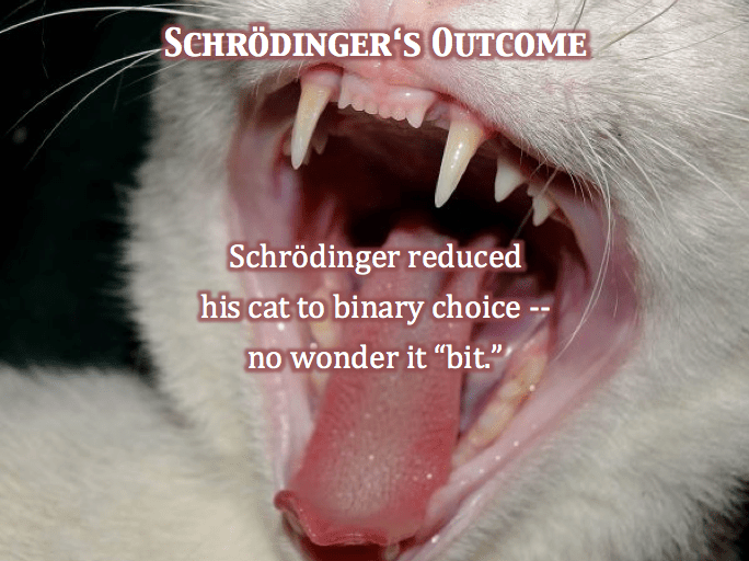 Schrodinger's Outcome