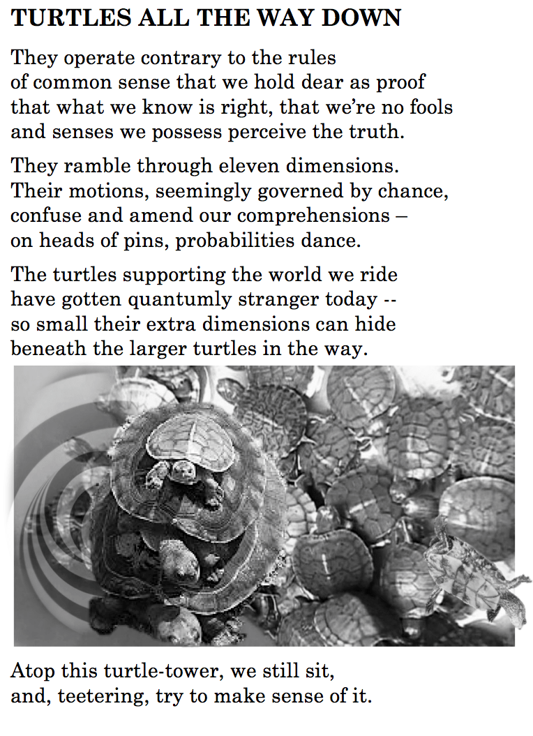 Turtles all the way down.png