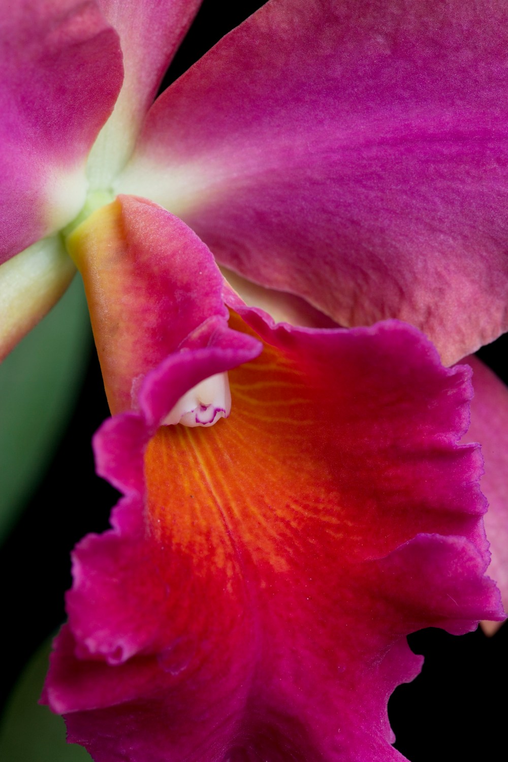 L.L. Slc.Mae Hawkins 'Miya' 01