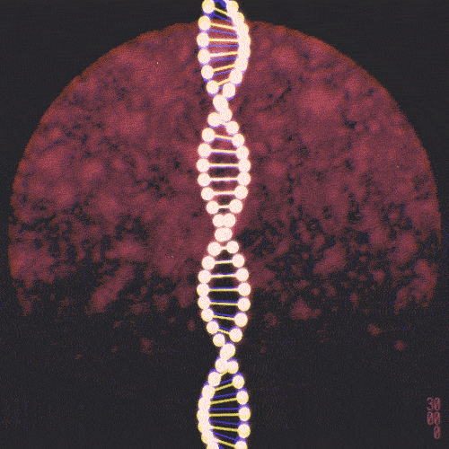Double Helix DNA