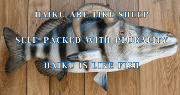 Haiku