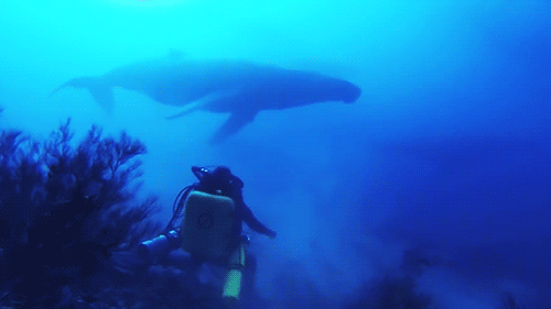 1ced41ef88eca05a87a5092f072e7e93